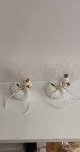 Κυκνος λευκος