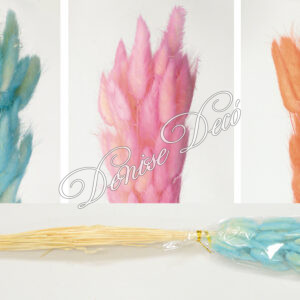 Αποξηραμενο Κλαδι ουριτσες 01