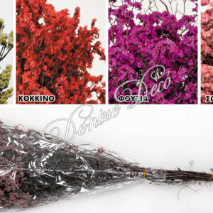 Κλαδι αποξηραμενο 01