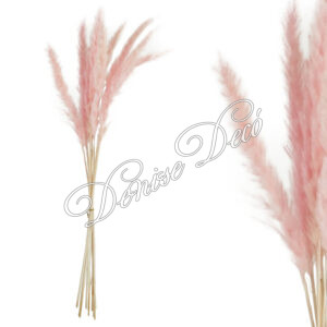 Κλαδι παμπας αποξηραμενο 03