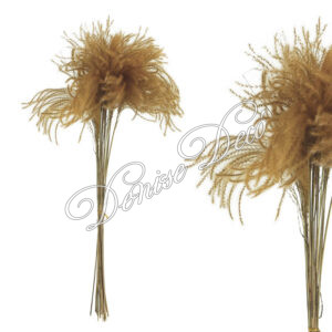 Κλαδι παμπας αποξηραμενο 04