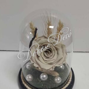 Τριανταφυλλο Forever σε καμπανα 36