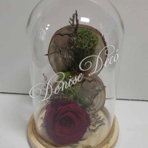 Τριανταφυλλο Forever σε καμπανα 49