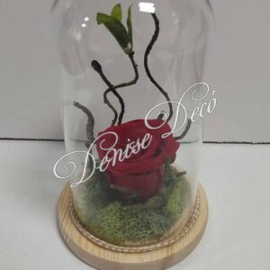 Τριανταφυλλο Forever σε καμπανα 44