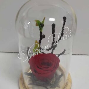 Τριανταφυλλο Forever σε καμπανα 47