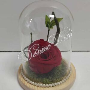 Τριανταφυλλο Forever σε καμπανα 38