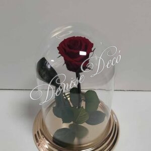 Τριανταφυλλο Forever σε καμπανα 51