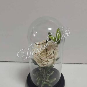 Τριανταφυλλο Forever σε καμπανα 42